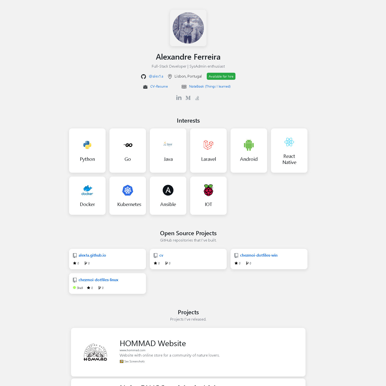 Website preview #2